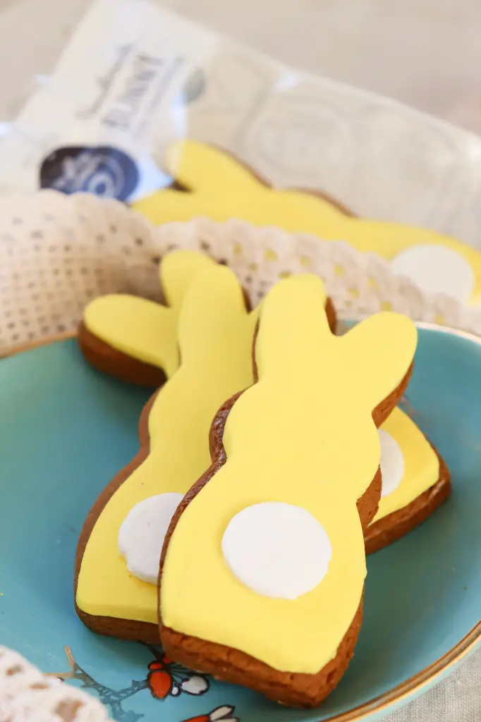 ICED BUNNY STYLED (7).webp