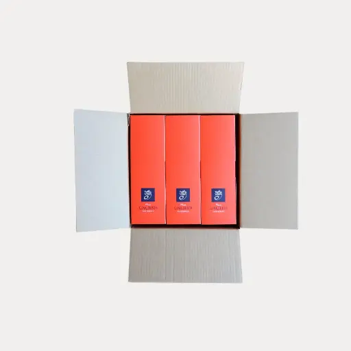 [GRB40] Gingerbread Kids Cookies Grab'N'Go 21g 18/Slv x 3 Carton